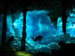 Фотография пещерного дайвинга в Доминикане